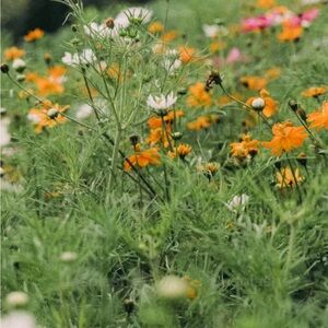 Reasonable offers accepted